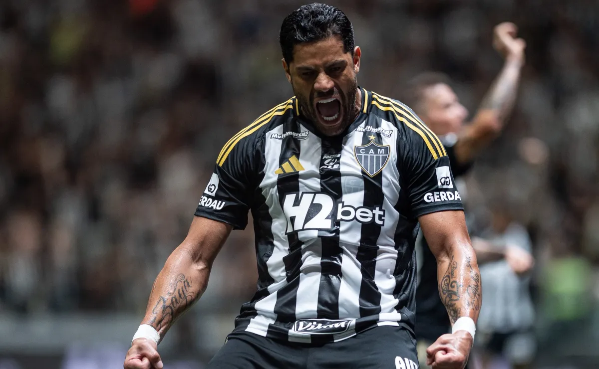 image para ilustrar o artigo