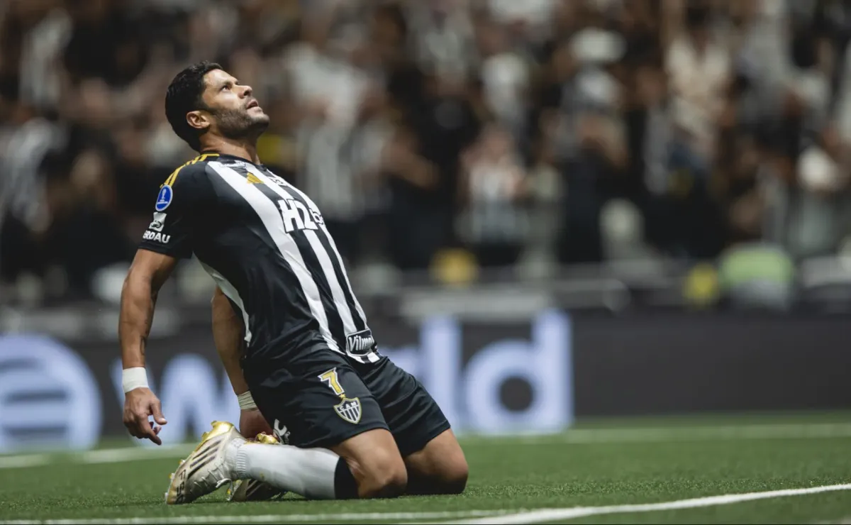 image para ilustrar o artigo