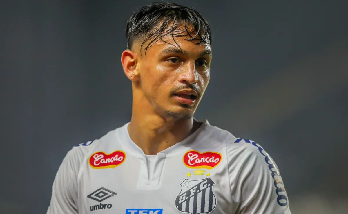 image para ilustrar o artigo