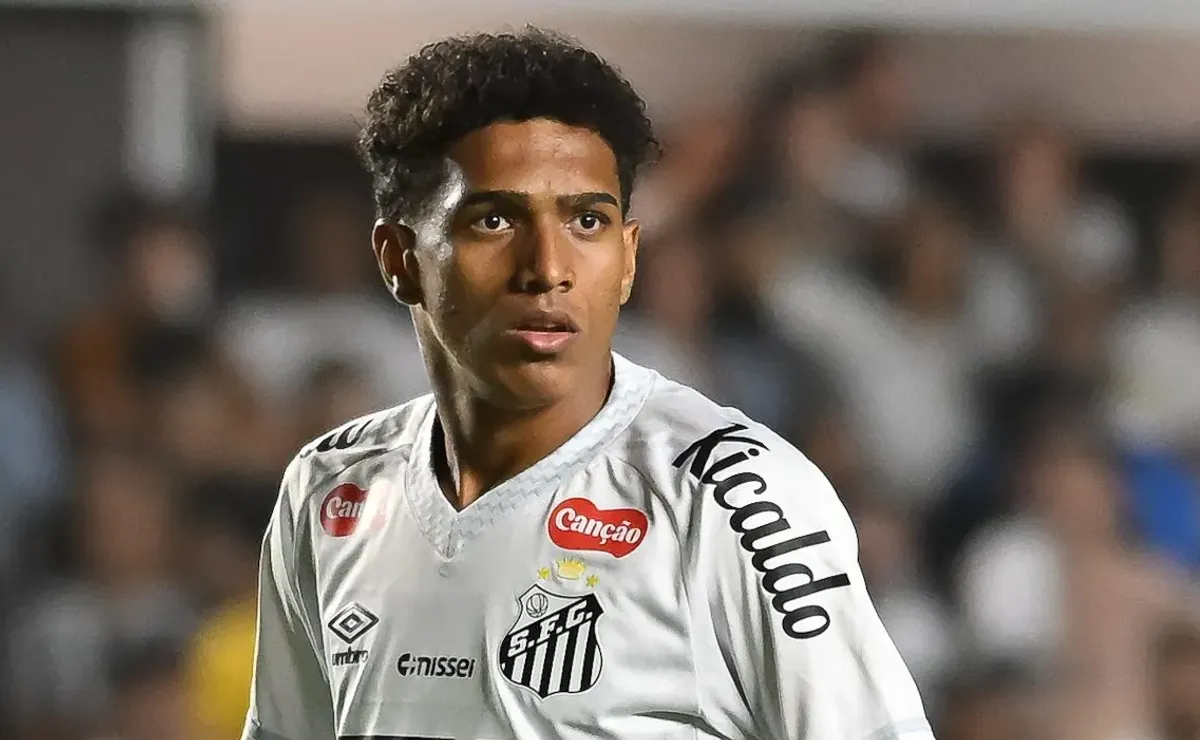 image para ilustrar o artigo