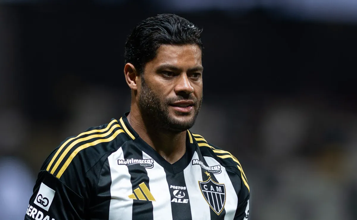 image para ilustrar o artigo