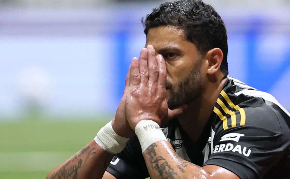 image para ilustrar o artigo