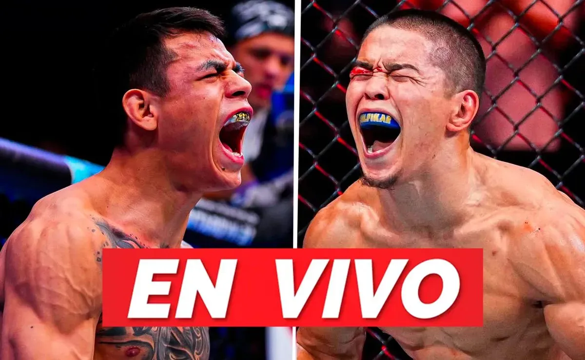 bolavip.com