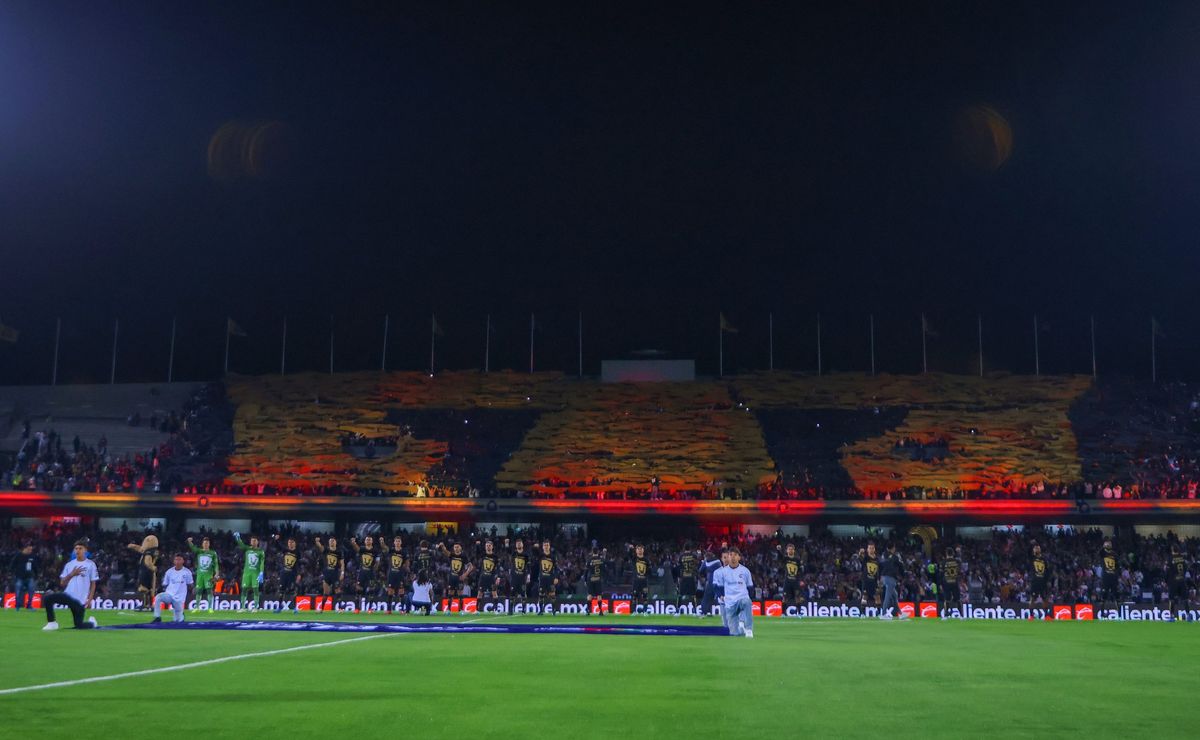 Pumas: La Rebel despliega espectacular mosaico con el escudo felino y