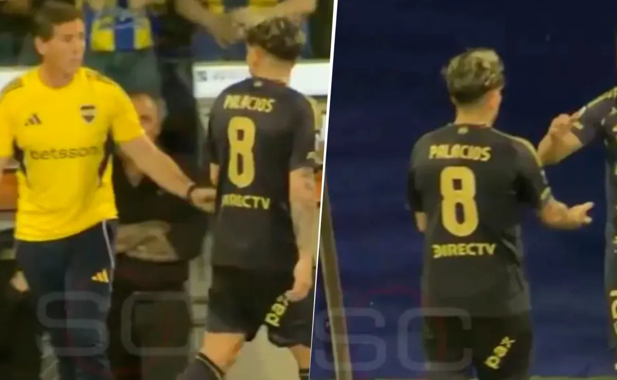 El reclamo de Carlos Palacios en el partido contra Rosario Central: 