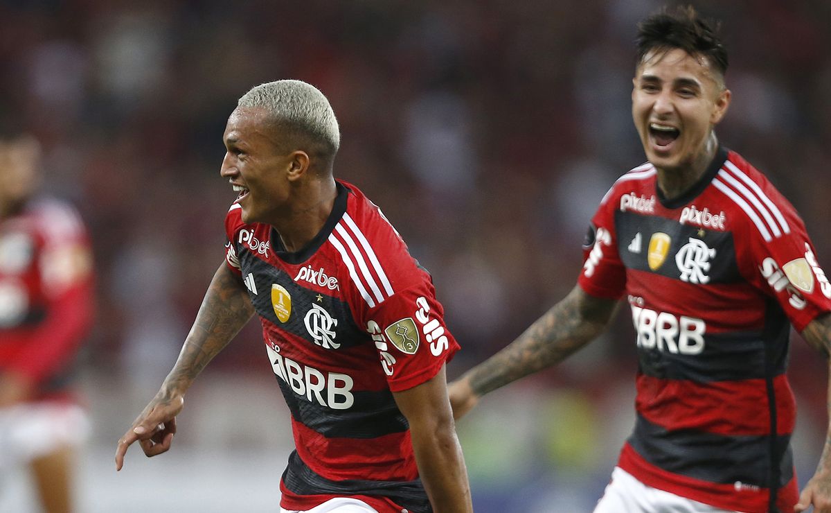 Flamengo's Victory in Libertadores Cup: Erick Pulgar's Key Assist and ...