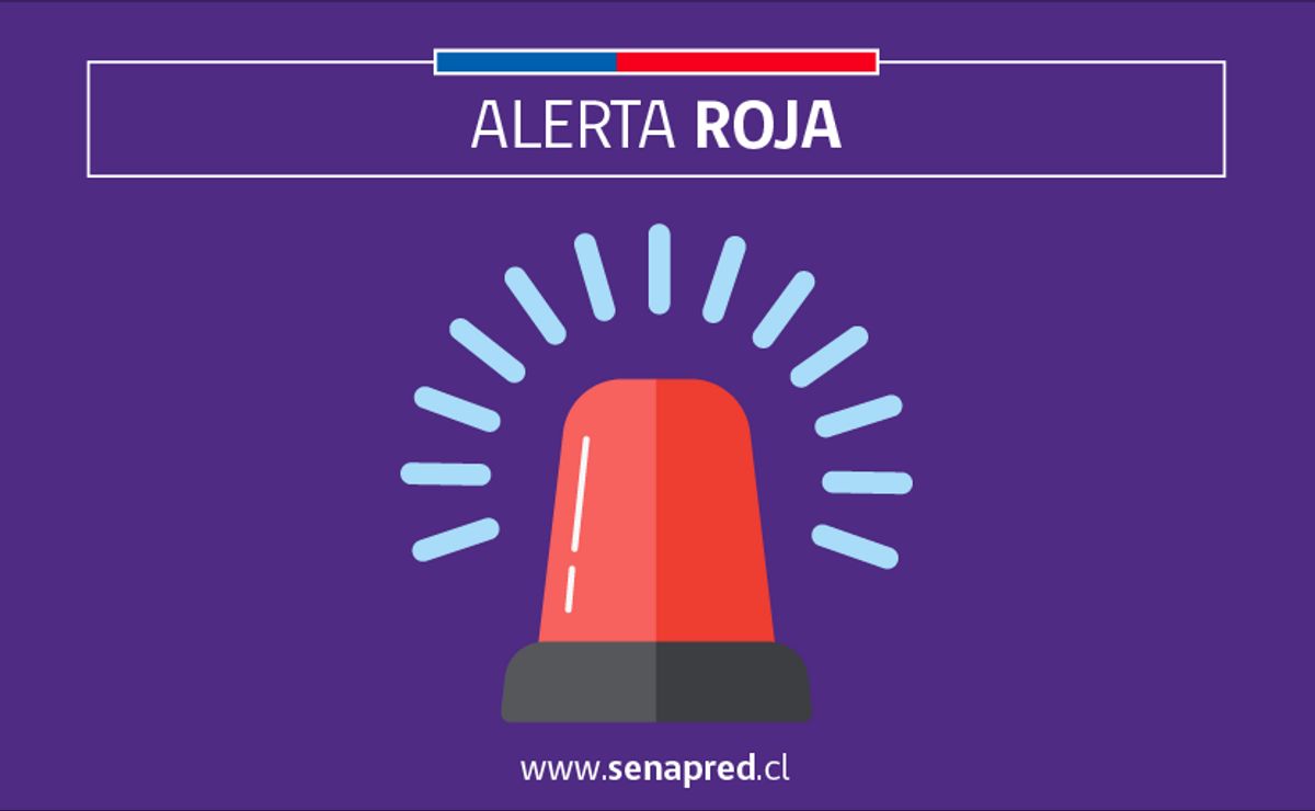 SENAPRED declara alerta roja para Viña del Mar por fuerte incendio forestal