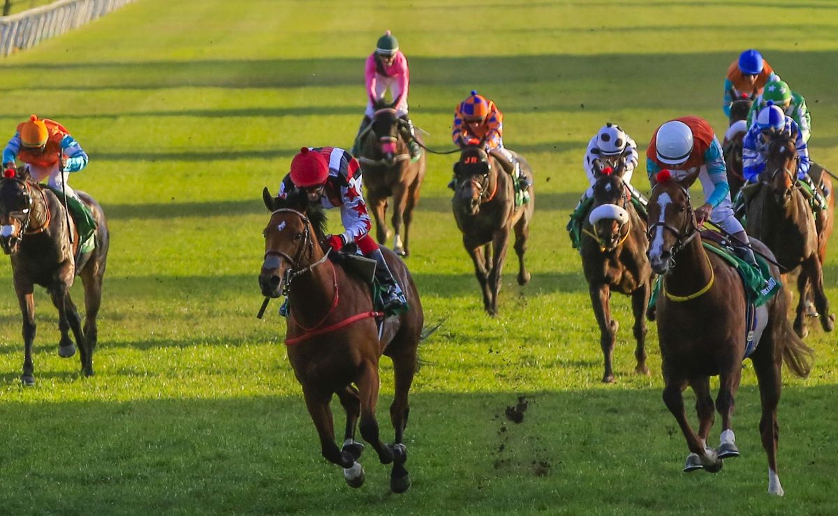 El Ensayo Mega 2025: Día, horario y dónde ver la tradicional carrera de la hípica chilena