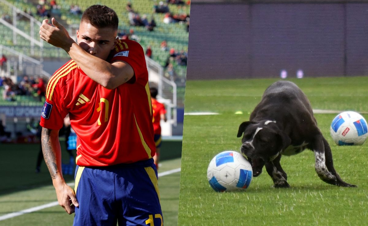 “Perros corriendo”: regalón de Pellegrini criticó cancha de entrenamiento en el Mundial Sub 20