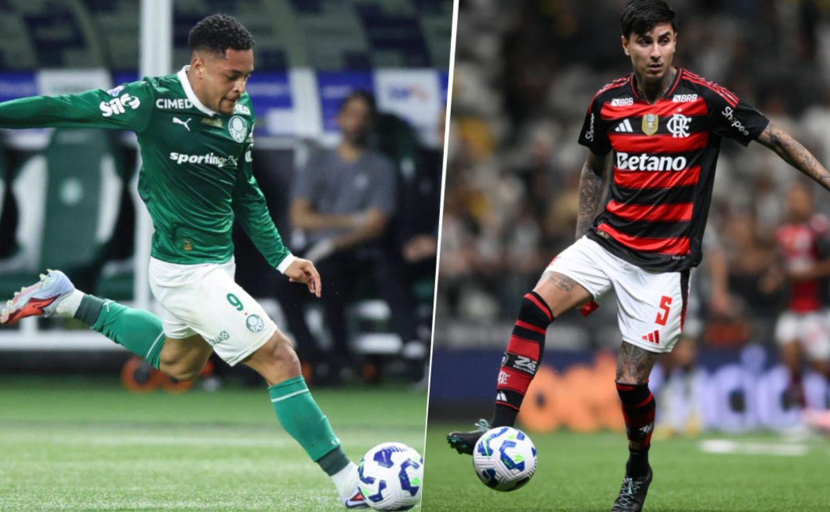 Palmeiras o Flamengo: La IA revela el nuevo campeón de Copa Libertadores