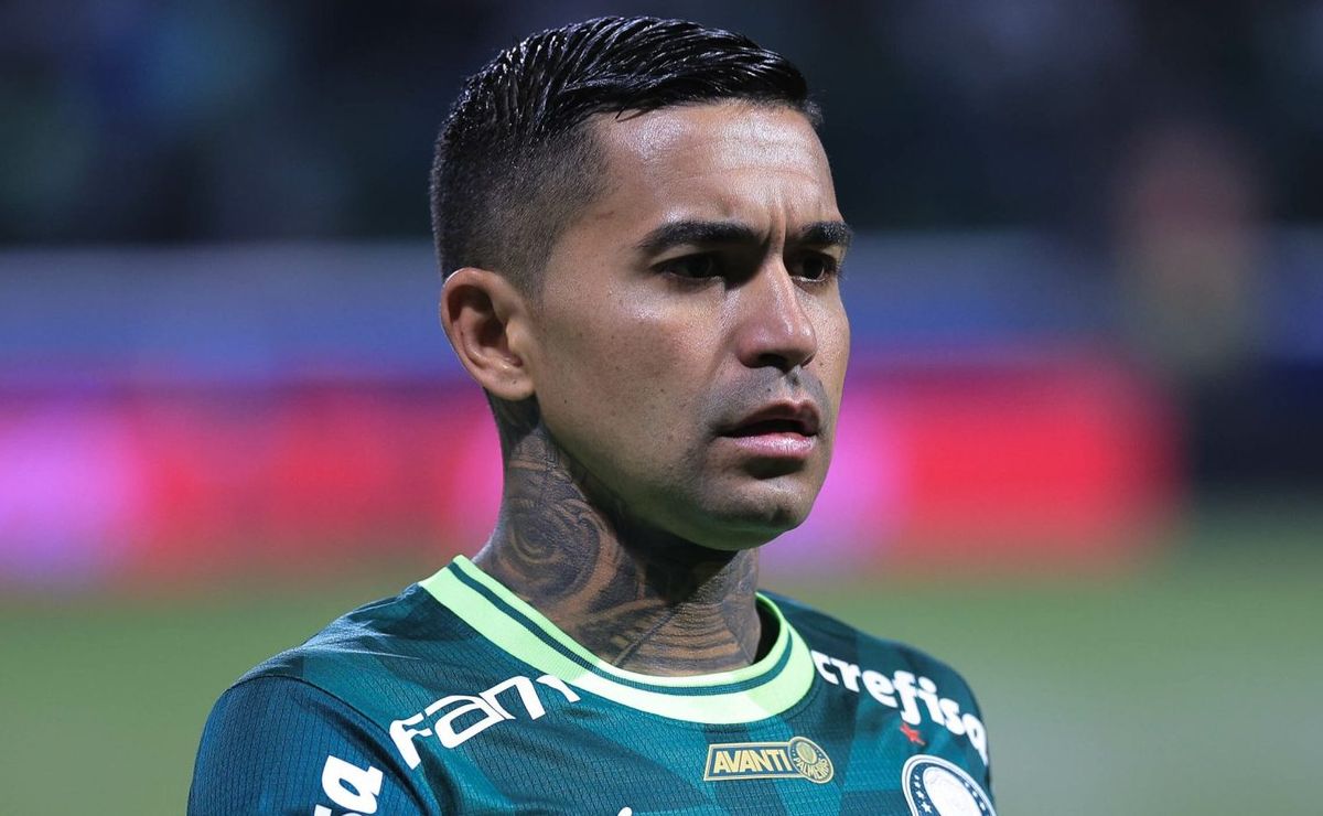 Dudu (Palmeiras) - Perfil de jogador