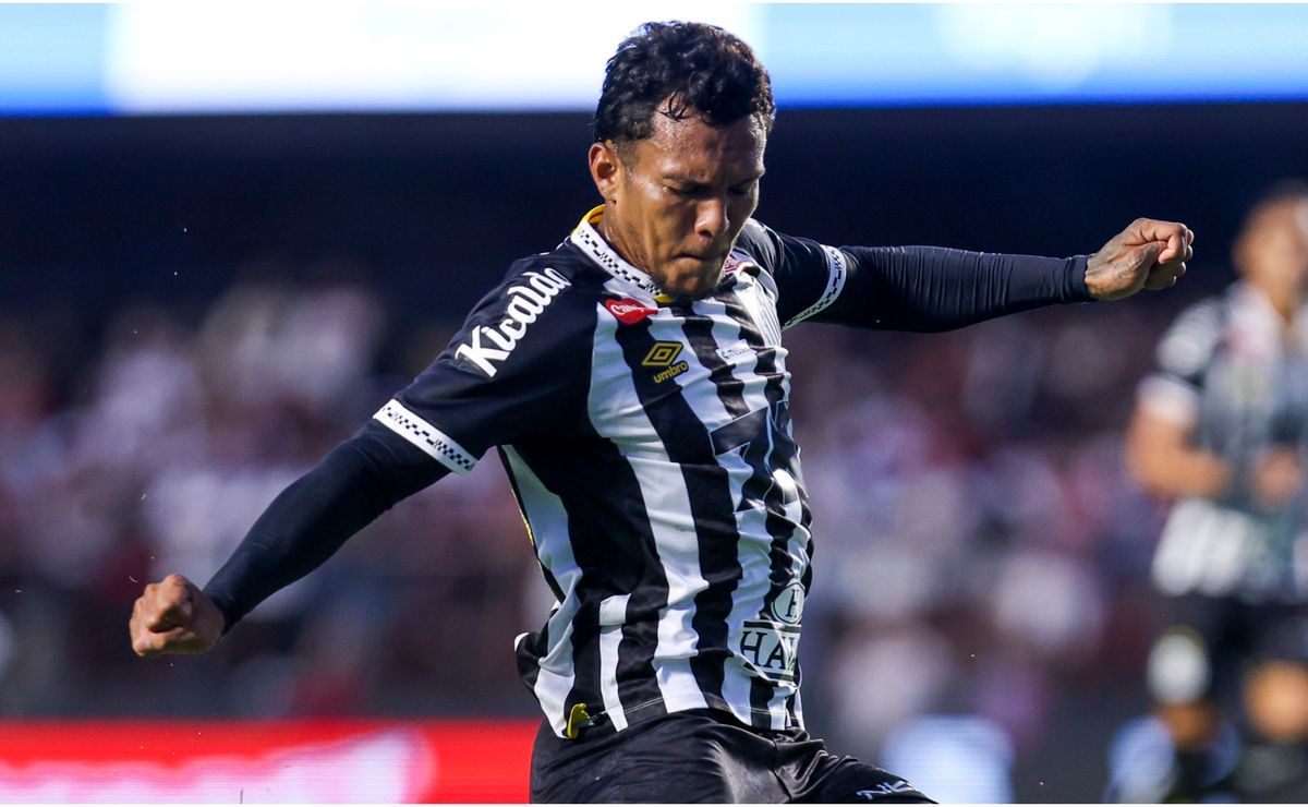 How to watch Santos vs Botafogo in the USA: Live Stream and TV for 2025 Brasileirao