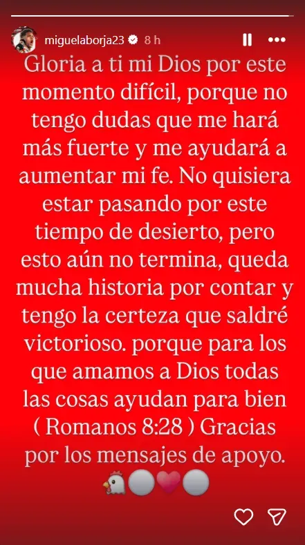 La historia que subió Borja tras errar su penal.
