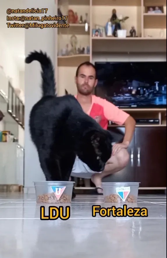 Así es como Milu se terminó inclinando por el recipiente de comida con el escudo de Fortaleza. (Captura de pantalla: @Milugatovidente)