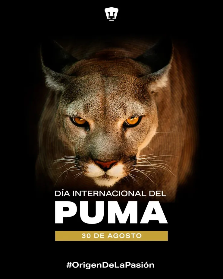 Así reconocieron al felino en redes (@PumasMX)
