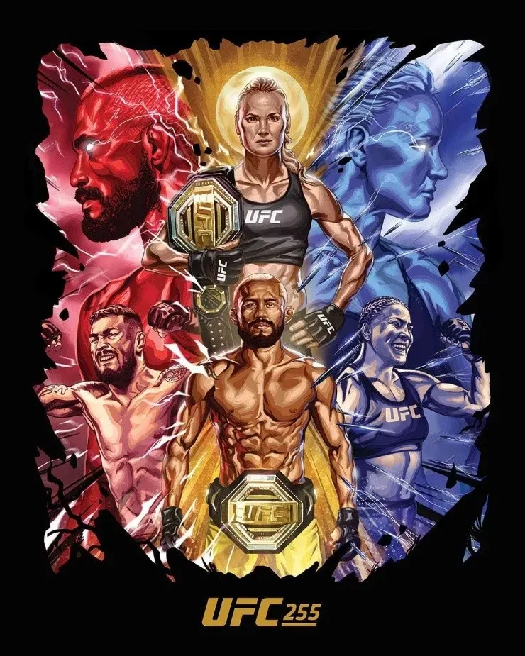 Afiche UFC 255