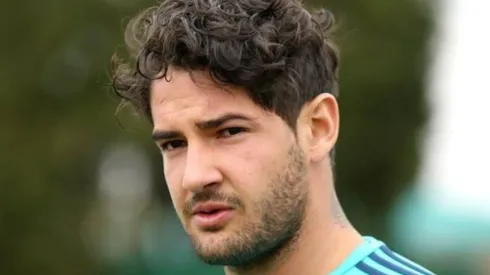 Foto: Divulgação/ Pato