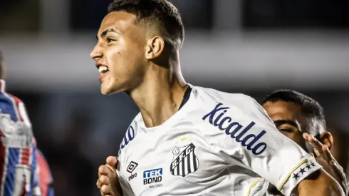 Foto: Raul Barettas/Santos FC