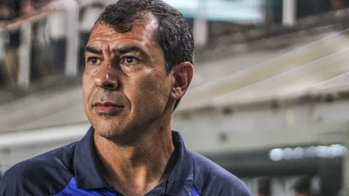 Fábio Carille, treinador do Santos.