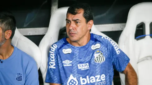 Carille desconversa sobre interesse do Corinthians (Imagem: Baggio Rodrigues/AGIF)