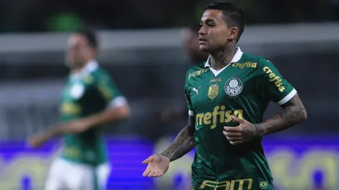 Dudu jogador do Palmeiras durante partida contra o Atletico-GO (Foto: Ettore Chiereguini/AGIF)