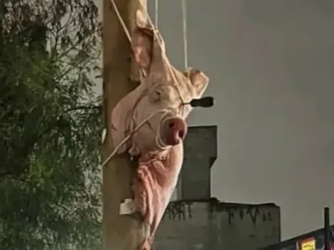 Palmeiras recebe provocações de organizadas do Corinthians