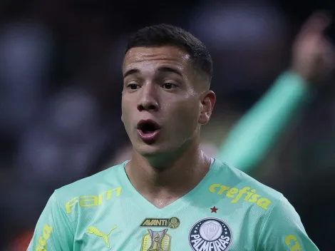 Botafogo recebe 'comunicado' do Palmeiras após proposta apresentada por Naves