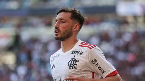 Viña chegou ao Flamengo em 2024.