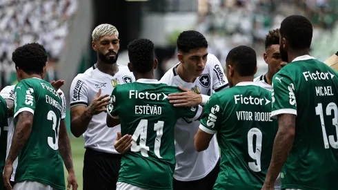 Botafogo x Palmeiras pelo Brasileirão 2025. Foto: Fabio Giannelli/AGIF