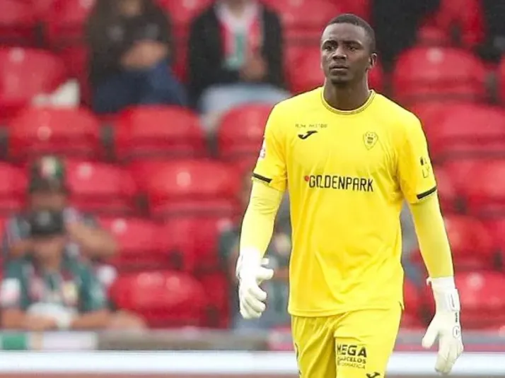 Botafogo ainda não chegou a acordo com o goleiro Andrew