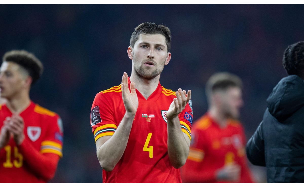 Palpite País de Gales x Islândia – Nations League – 19/11/2024