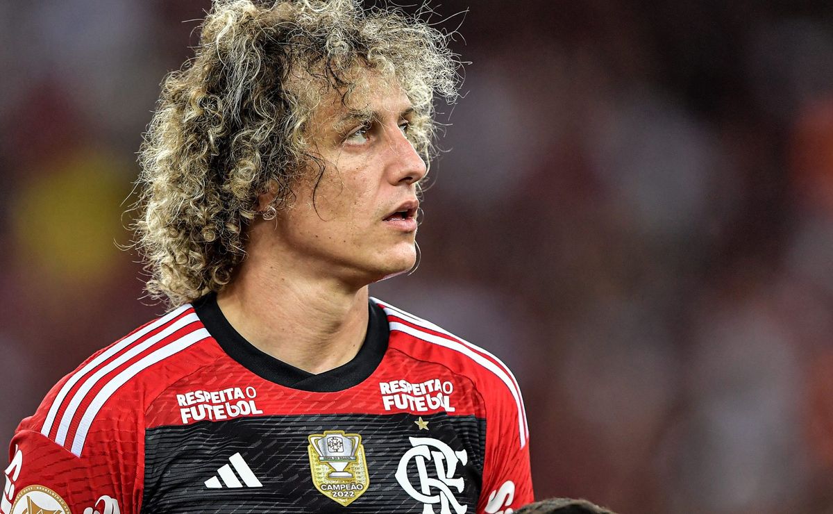 Boto decreta que mais um zagueiro deve sair junto com David Luiz no Flamengo