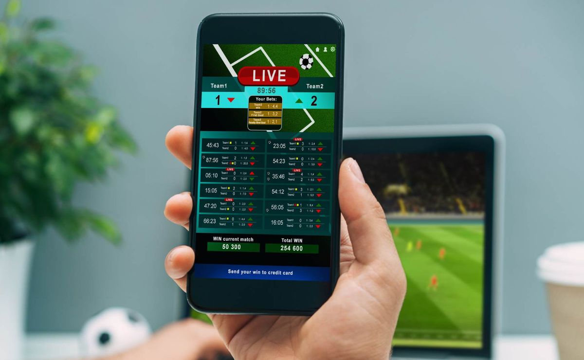 Rei do Pitaco apk: como baixar e jogar o fantasy pelo celular