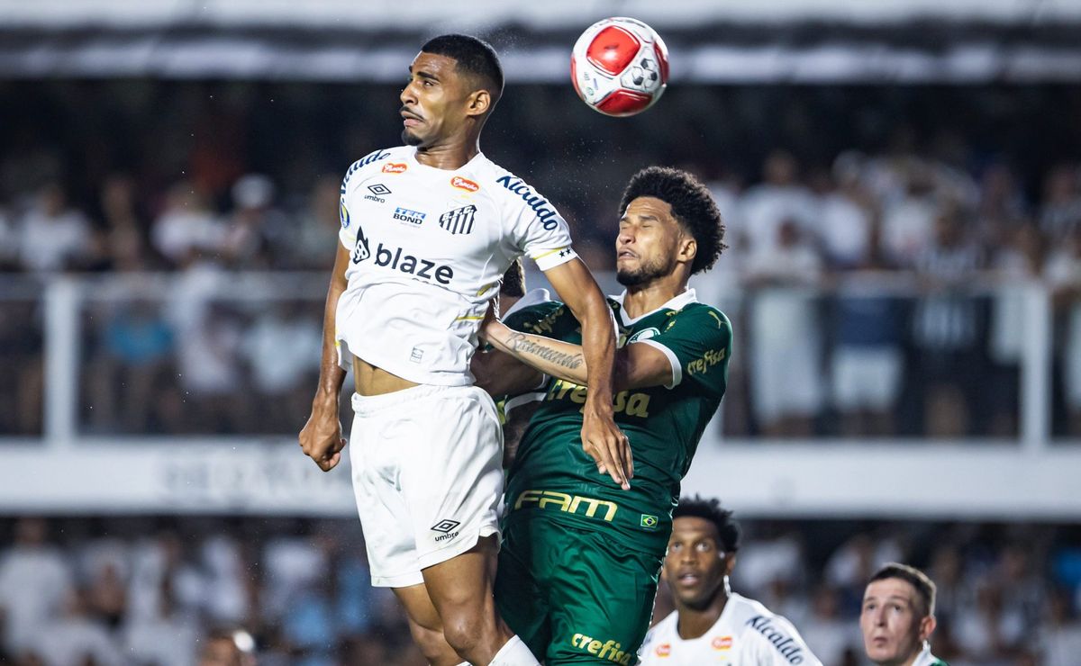 Santos x Palmeiras AO VIVO – Onde assistir jogo em tempo real pelo Campeonato Paulista