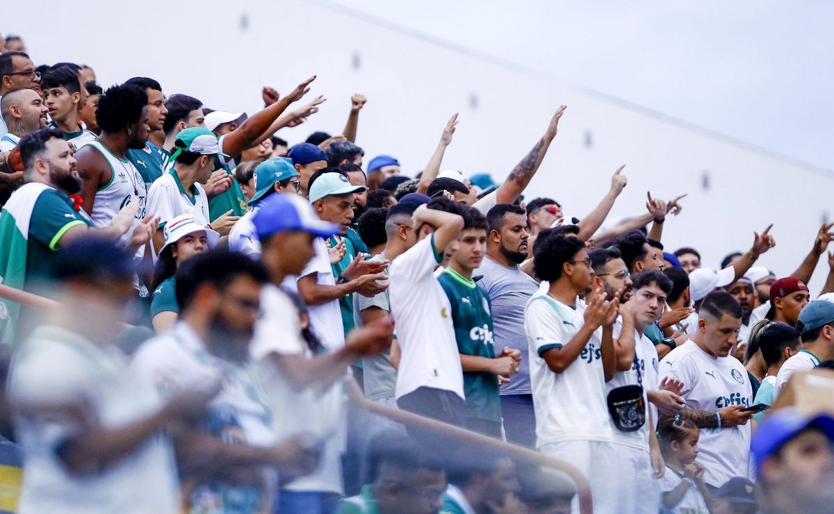 Noroeste aproveita jogo contra Palmeiras e bate recorde de bilheteria em sua história; veja valores