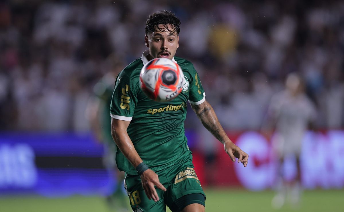Campeonato Paulista: Palmeiras x Novorizontino – Horário, escalações, arbitragem e informações principais