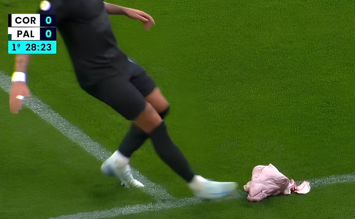 Torcedor que arremessou cabeça de porco em Corinthians x Palmeiras confessa e acaba preso em São Paulo