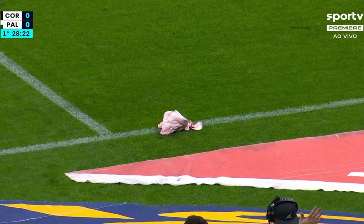 Cabeça de porco arremessada em Corinthians x Palmeiras faz torcedor ser preso nesta 2ª em São Paulo
