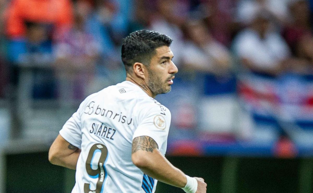 Paulo Caleffi revela que tem acordo com reforço de peso com a carreira mais consolidada do que Suárez