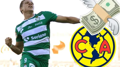 Furch podría entrar en la agenda del mercado americanista