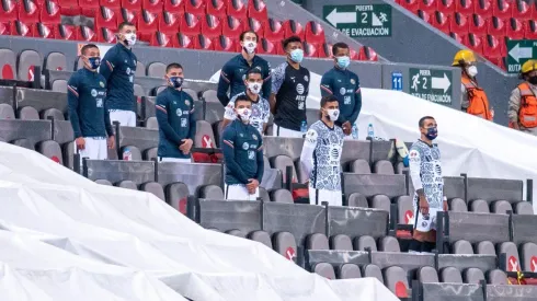 Qué dice el reglamento sobre la situación de Viñas.