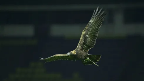 Celeste es la mascota oficial del Club América desde hace 24 años.