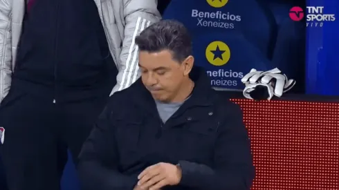 Así reaccionó Marcelo Gallardo luego del último penal.