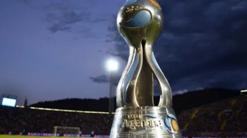 Día, horario y canales de TV para ver el Sorteo de la Copa Argentina (Foto: AFA).