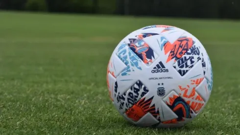 Comienzan las pretemporadas en la Liga Profesional (Foto: AFA).