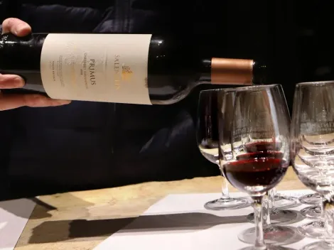 Día Mundial del Malbec 2022: cuándo es y por qué se celebra la fecha