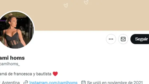 ¿Es real la cuenta de Twitter de Camila Homs que insulta a Tini Stoessel?