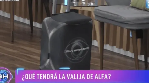 La valija que ingresó Alfa.