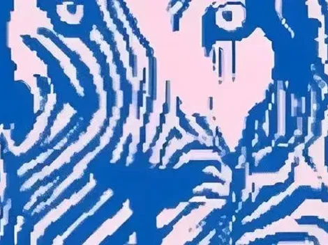 ¿Qué viste primero? Tu respuesta habla mucho de tu PERSONALIDAD