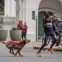 Iba primero en el Maratón de Buenos Aires, un perro lo mordió y en Kenia se armó un escándalo